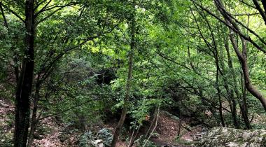 Sadağı Kanyonu Tabiat Parkı