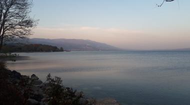 Sakarya İl Ormanı Tabiat Parkı