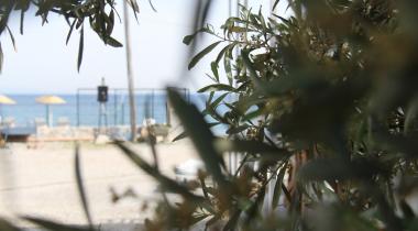 Assos Yıldız Camping