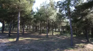 Vezirsuyu Tabiat Parkı
