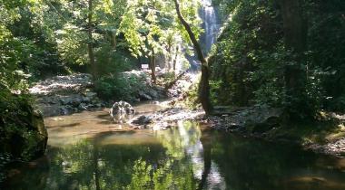 Yalova Harmankaya Tabiat Parkı