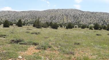 Karaman İncesu Mağarası