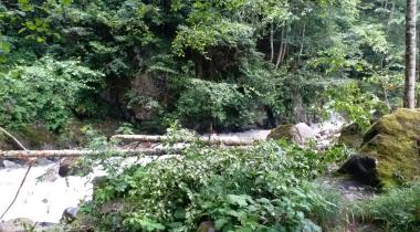 Çamlıhemşin Palovit Şelalesi