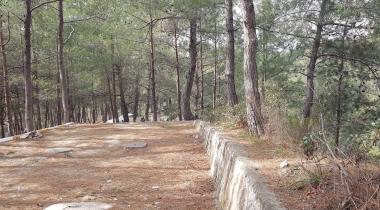 Şahin Tepesi (Hatay) Tabiat Parkı