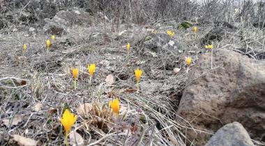 Kızılcahamam Kartaltepe Tabiat Parkı