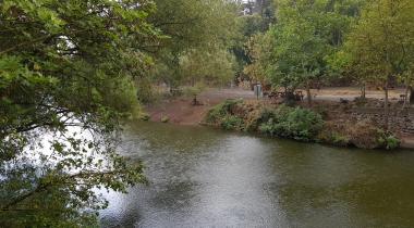 Değirmenboğazı Tabiat Parkı