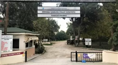 Talat Göktepe (Erdemli Çamlığı) Tabiat Parkı