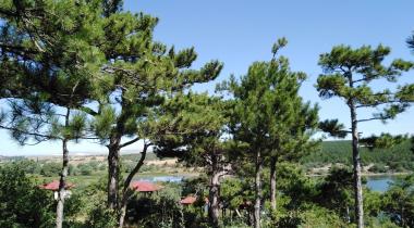 Musaözü Tabiat Parkı