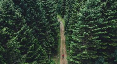 Bursa Alaçam Şelalesi ve Kanyonu