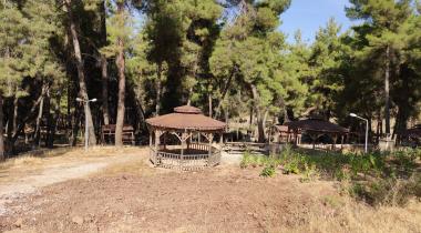 Hisar Çamlığı Tabiat Parkı