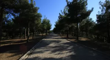 Vezirsuyu Tabiat Parkı