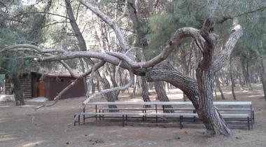 Efeoğlu Tabiat Parkı