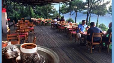 Sakarya İl Ormanı Tabiat Parkı