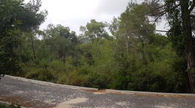 Kuyuluk Tabiat Parkı