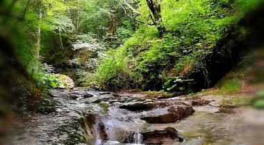 Zonguldak Süzek Kanyonu