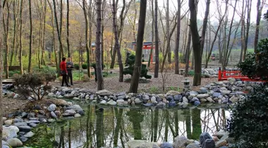 Park Orman Tabiat Parkı