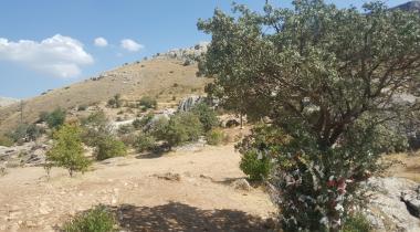 Elazığ Buzluk Mağarası