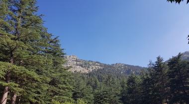 Yavşan Yaylası Tabiat Parkı