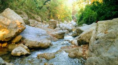 Dağılcak Tabiat Parkı