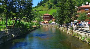 Uzungöl Tabiat Parkı