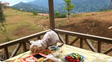 Isırlık Tabiat Parkı