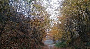 Kurugöl Tabiat Parkı