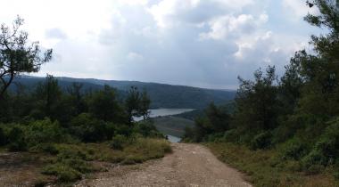 Şamlar Tabiat Parkı