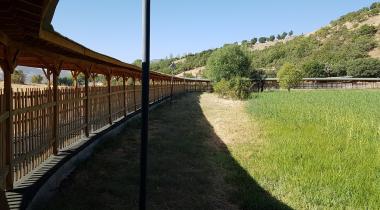 Bingöl Yüzen Adalar Tabiat Anıtı