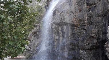 Kuğulu Tabiat Parkı