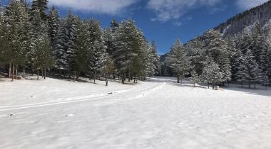 Oymalık Tabiat Parkı