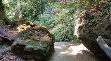 Muğla Gizlikent Şelalesi