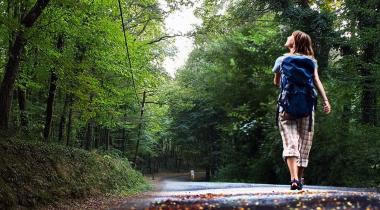 Sakarya İl Ormanı Tabiat Parkı