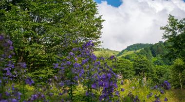 Kadıralak Tabiat Parkı