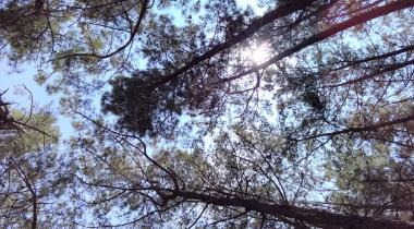Karataş Kumluk Tabiat Parkı