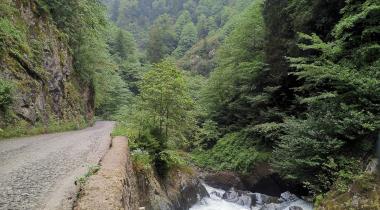 Çamlıhemşin Palovit Şelalesi