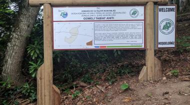 Zonguldak Gümeli Tabiat Anıtı