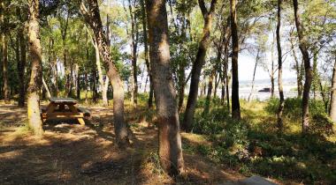 Sarıgazel Tabiat Parkı