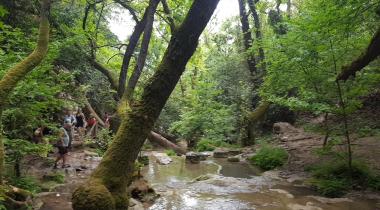 Marmaris Turgut Şelalesi