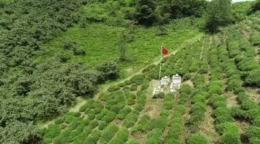 Şaban Kalesi Tabiat Parkı