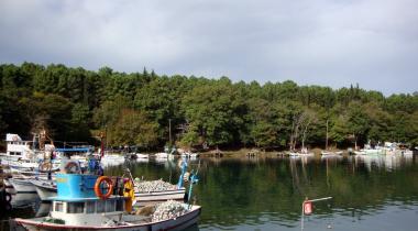 Hamsilos Tabiat Parkı