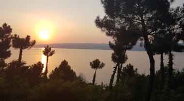 Sakarya İl Ormanı Tabiat Parkı