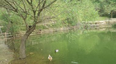Mesir Tabiat Parkı