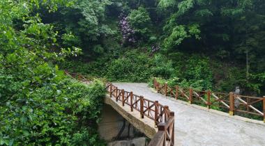 Kuzalan Şelalesi Tabiat Parkı