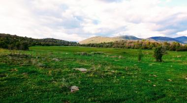 Kızılcahamam Kartaltepe Tabiat Parkı