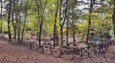 Falih Rıfkı Atay Tabiat Parkı