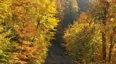 Yılançatı (Geyikbeli) Kanyonu Tabiat Parkı