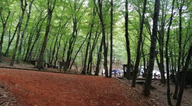 Irmak Tabiat Parkı