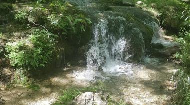 Dağılcak Tabiat Parkı