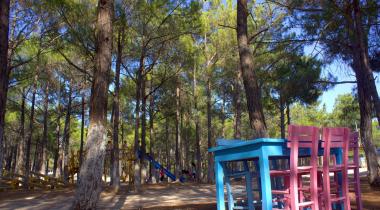 Çamdüzü Şehitlik Tabiat Parkı