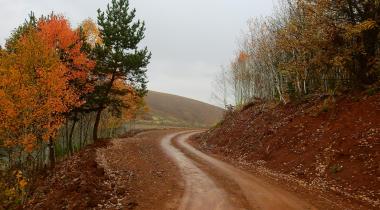 Yakupabdal Tabiat Parkı